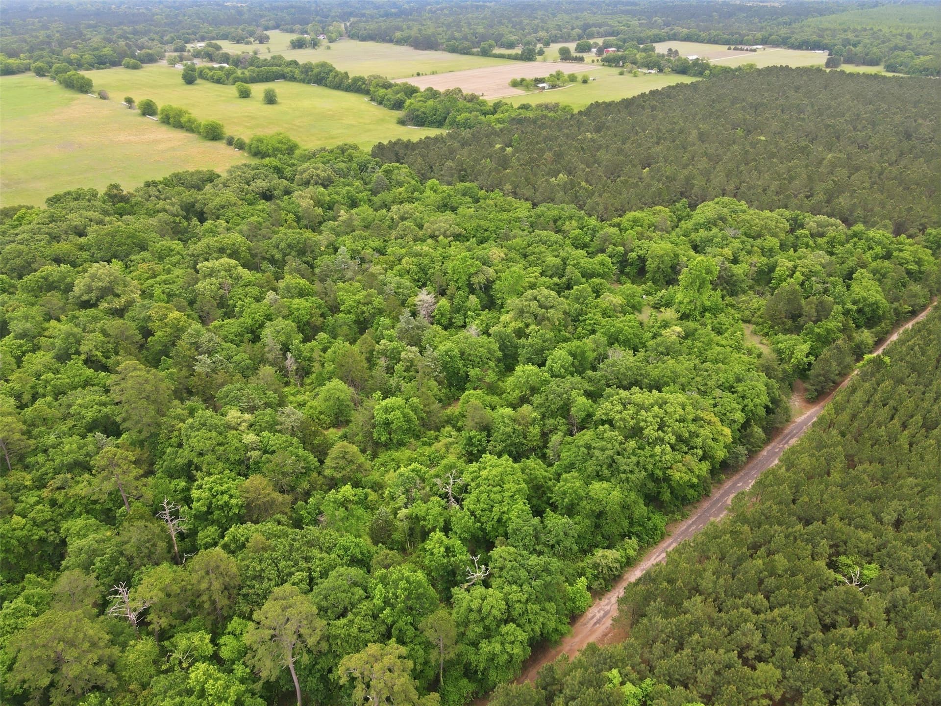 62.6 acres in Wood County - photo 4