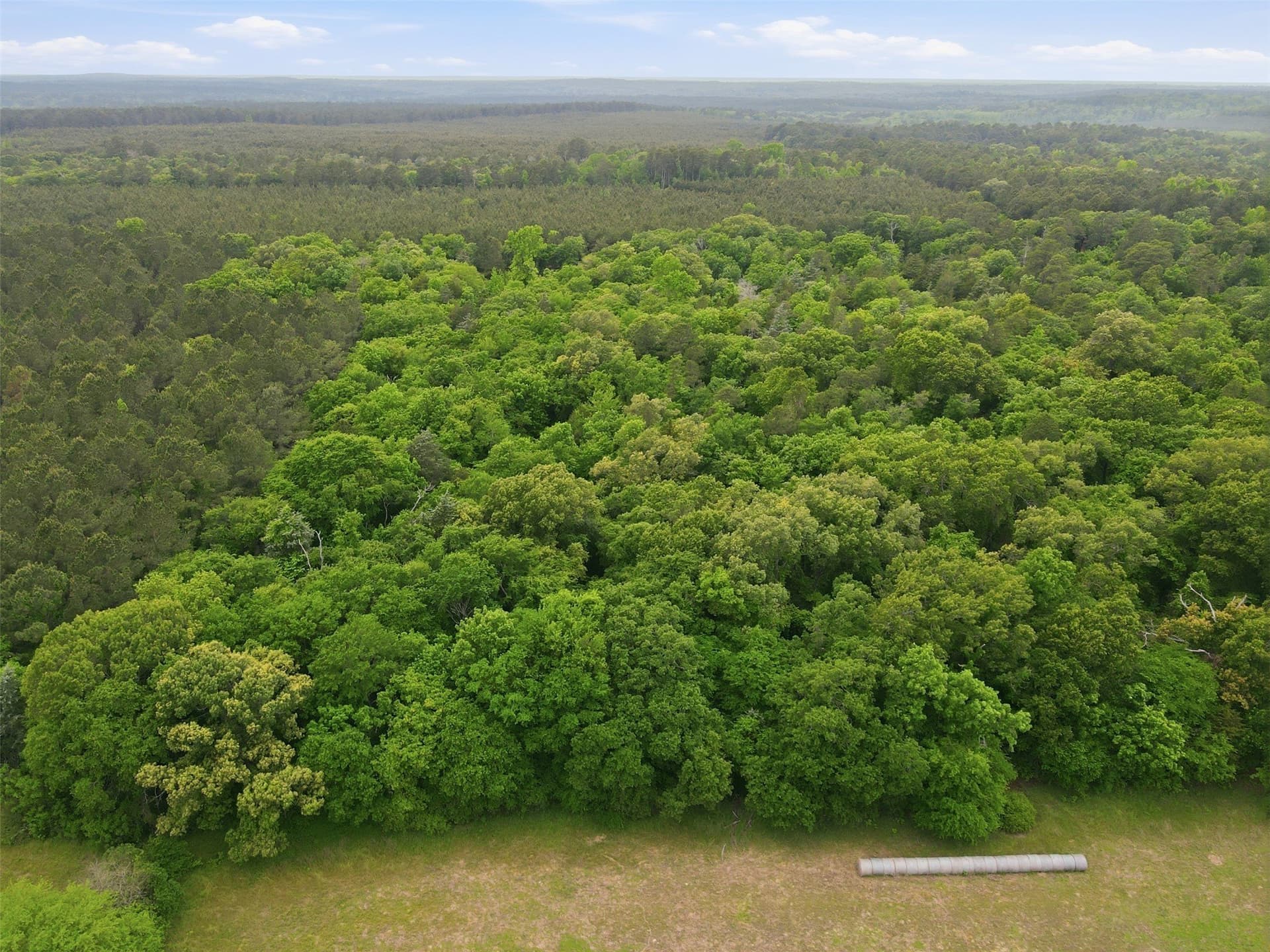 62.6 acres in Wood County - photo 7