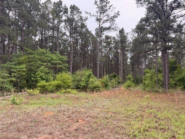 62.6 acres in Wood County - photo 18