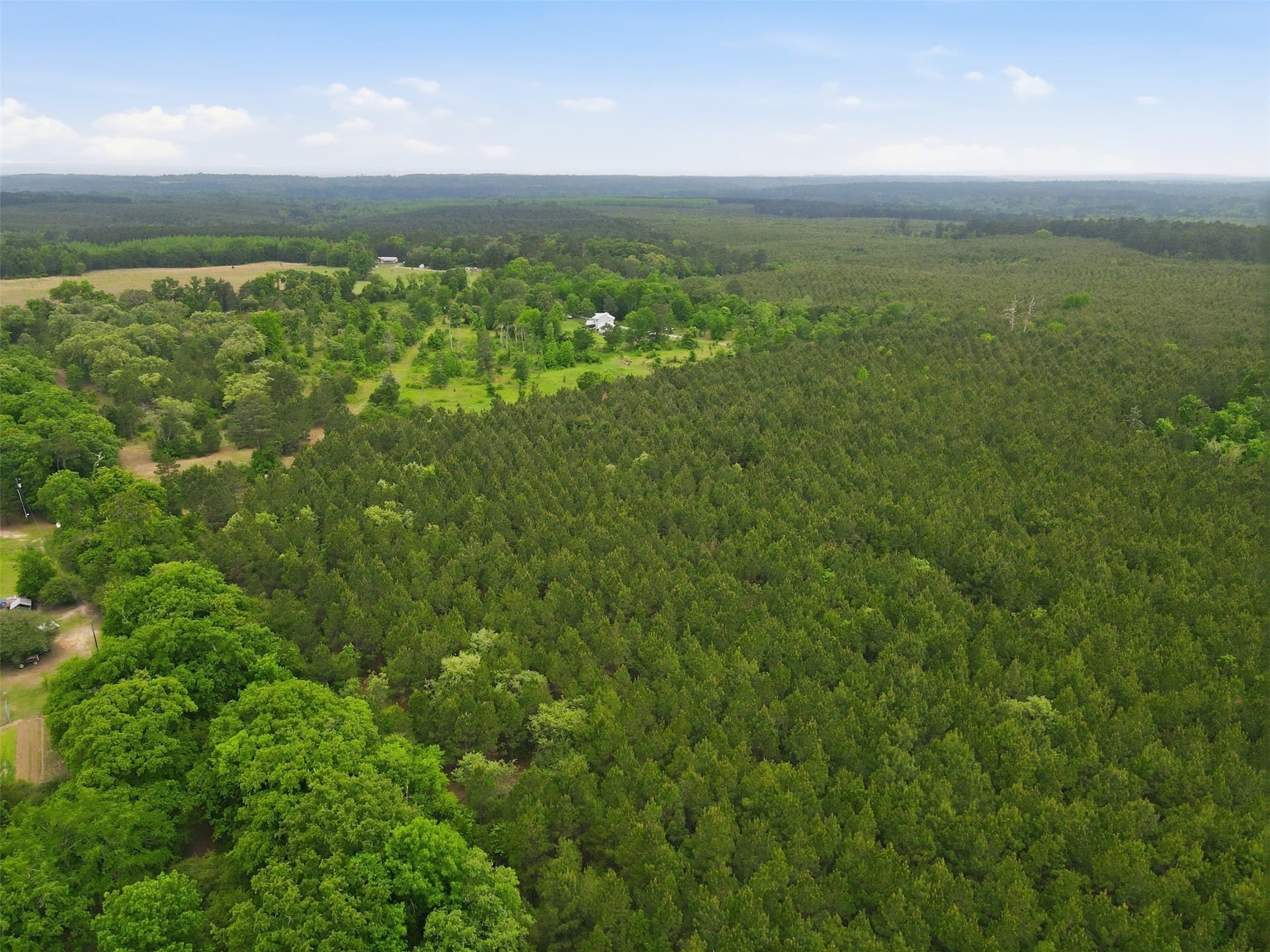 62.6 acres in Wood County - photo 11