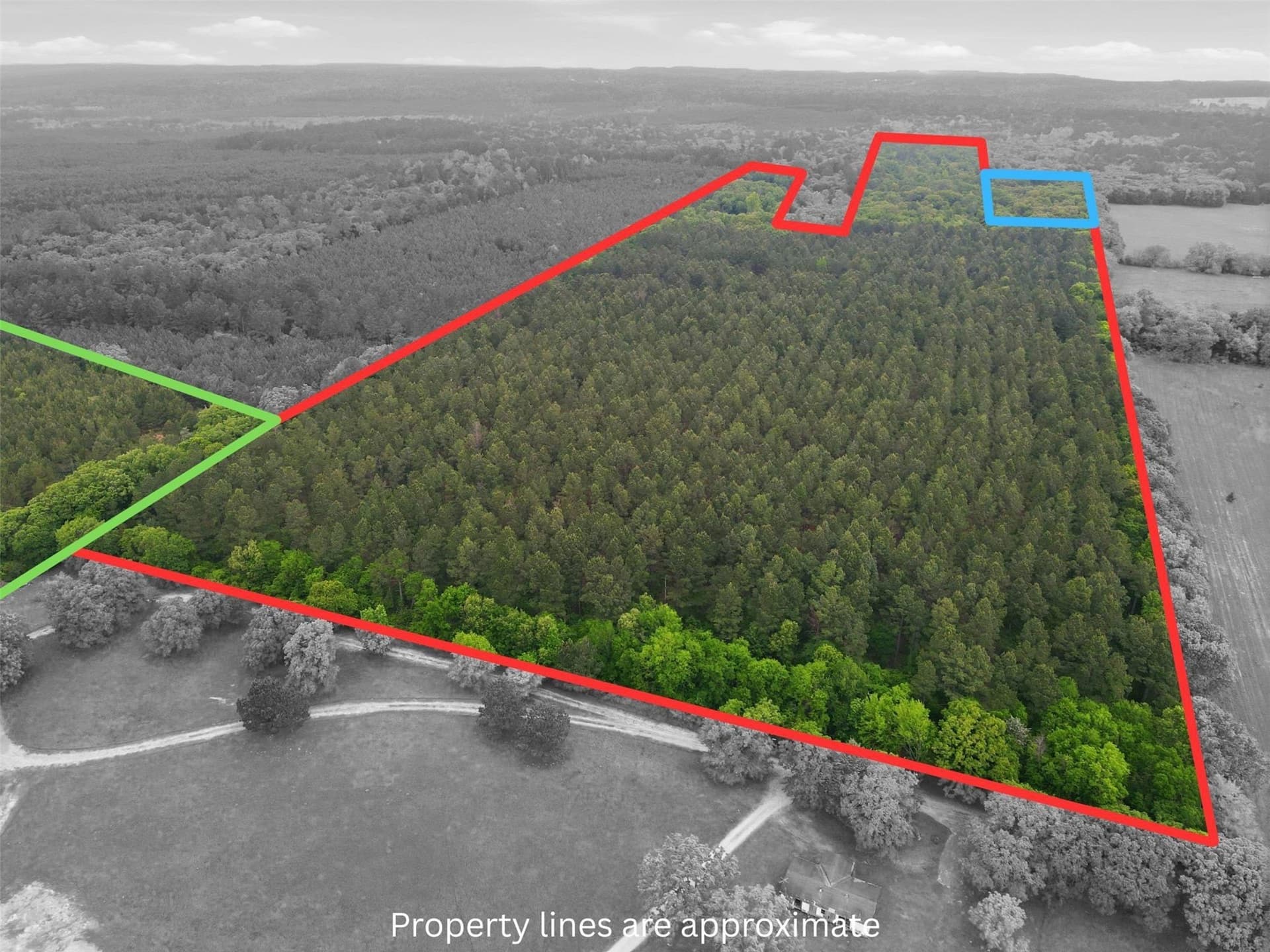 62.6 acres in Wood County - photo 2