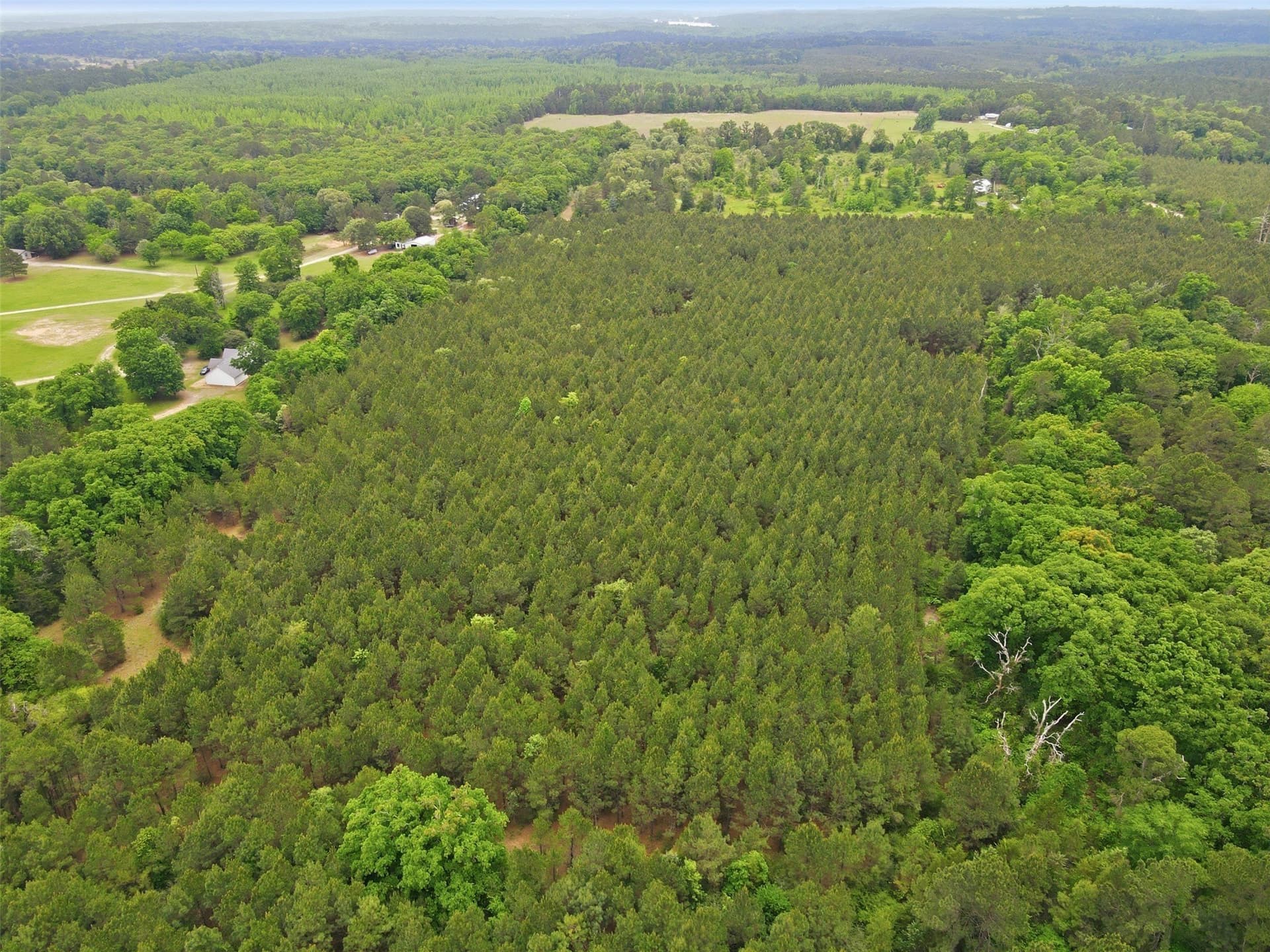 62.6 acres in Wood County - photo 10