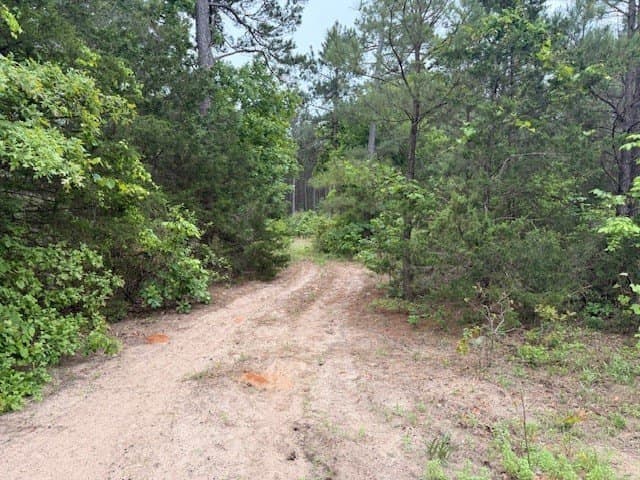 62.6 acres in Wood County - photo 16