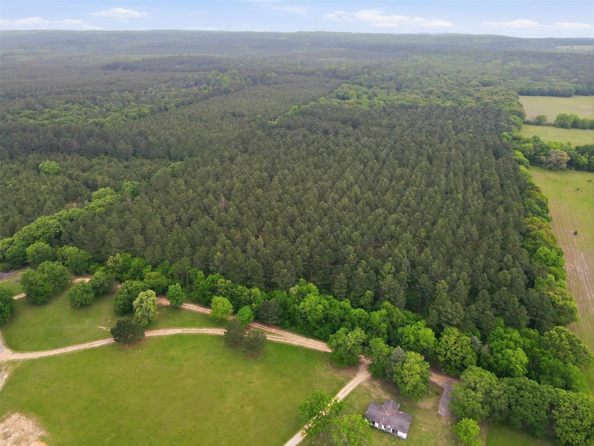 62.6 acres in Wood County - photo 9