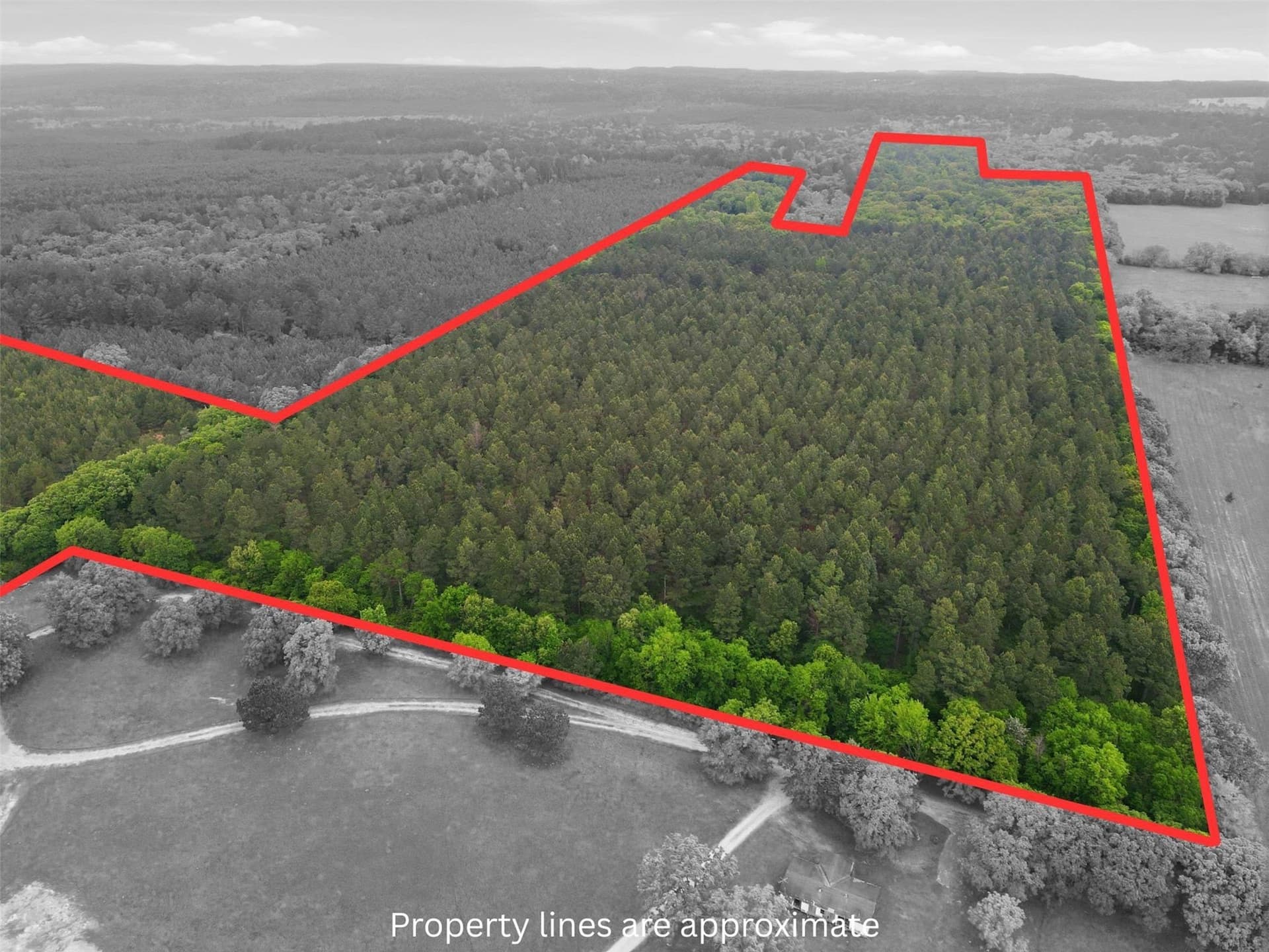 62.6 acres in Wood County
