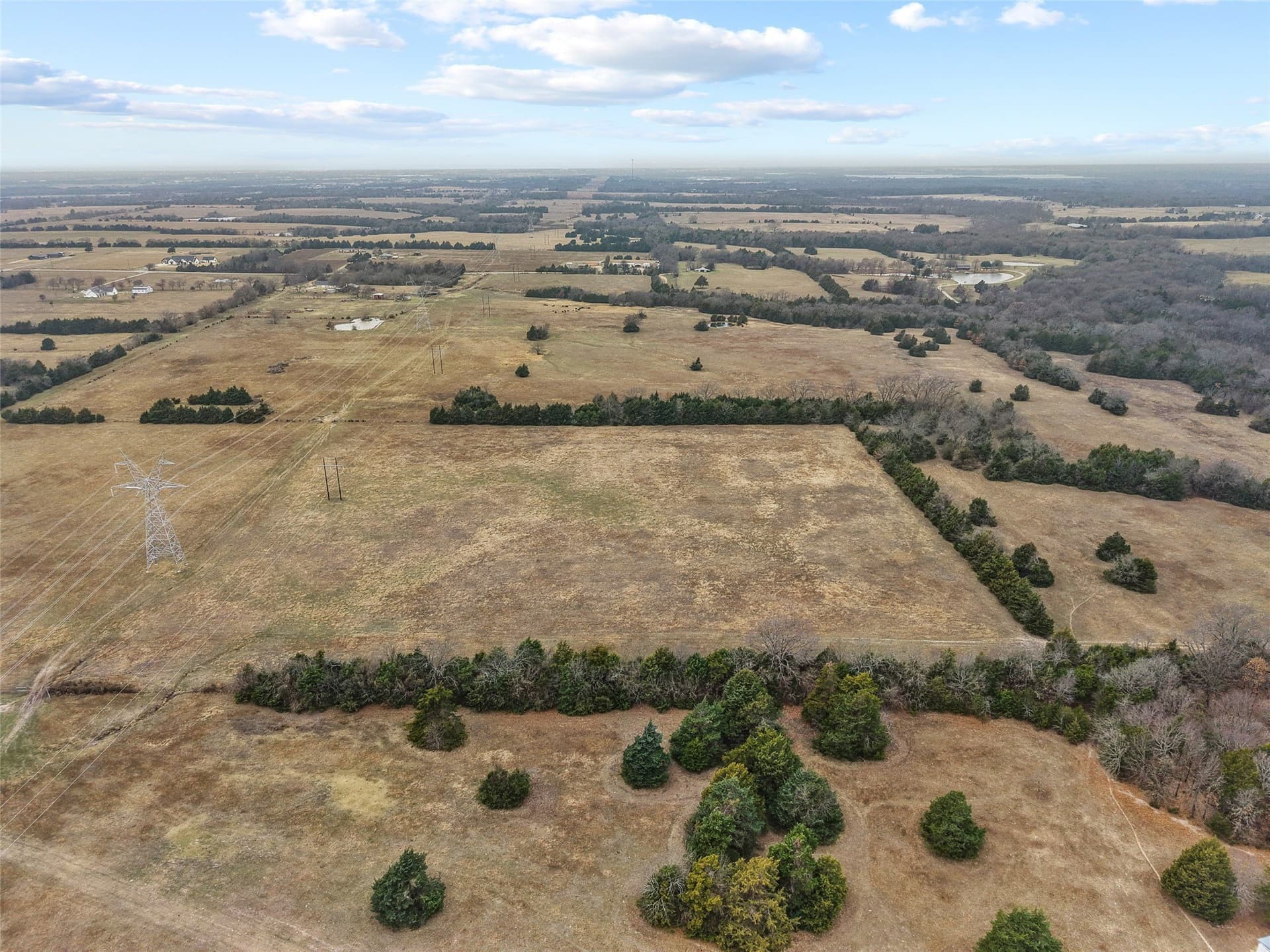 39.91 acres in Fannin County - photo 6