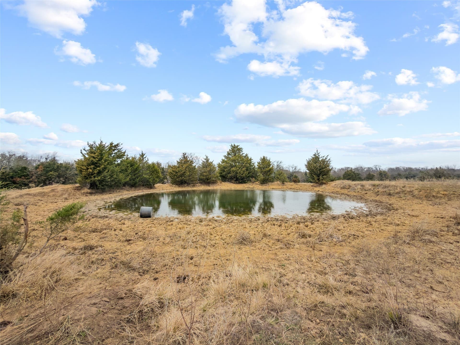 39.91 acres in Fannin County - photo 5