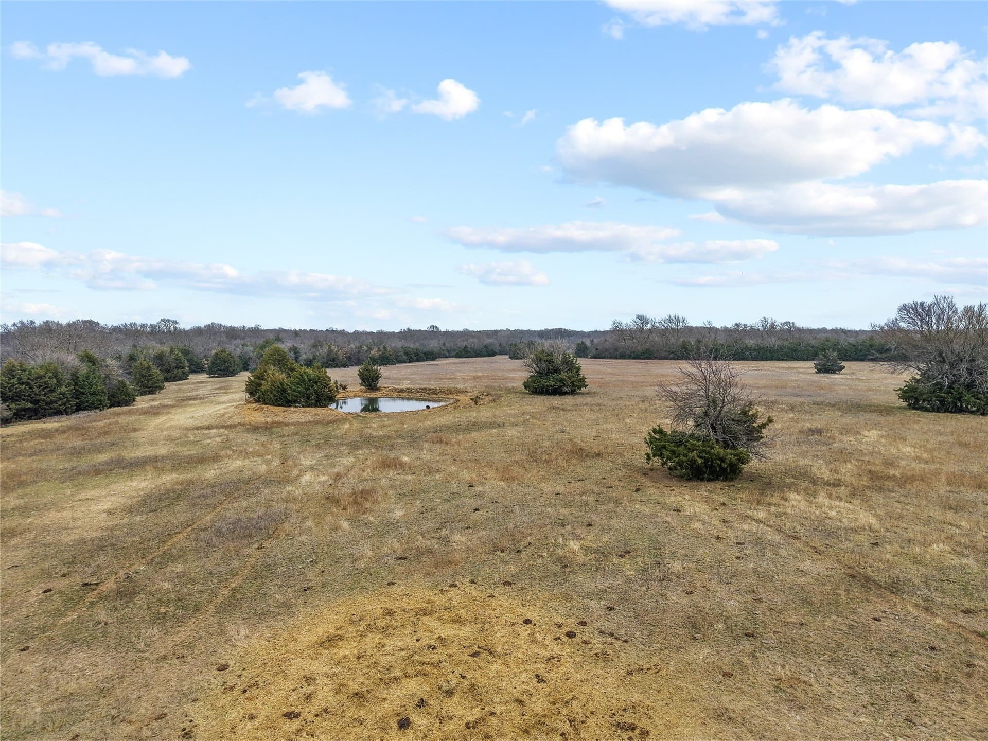 39.91 acres in Fannin County - photo 7