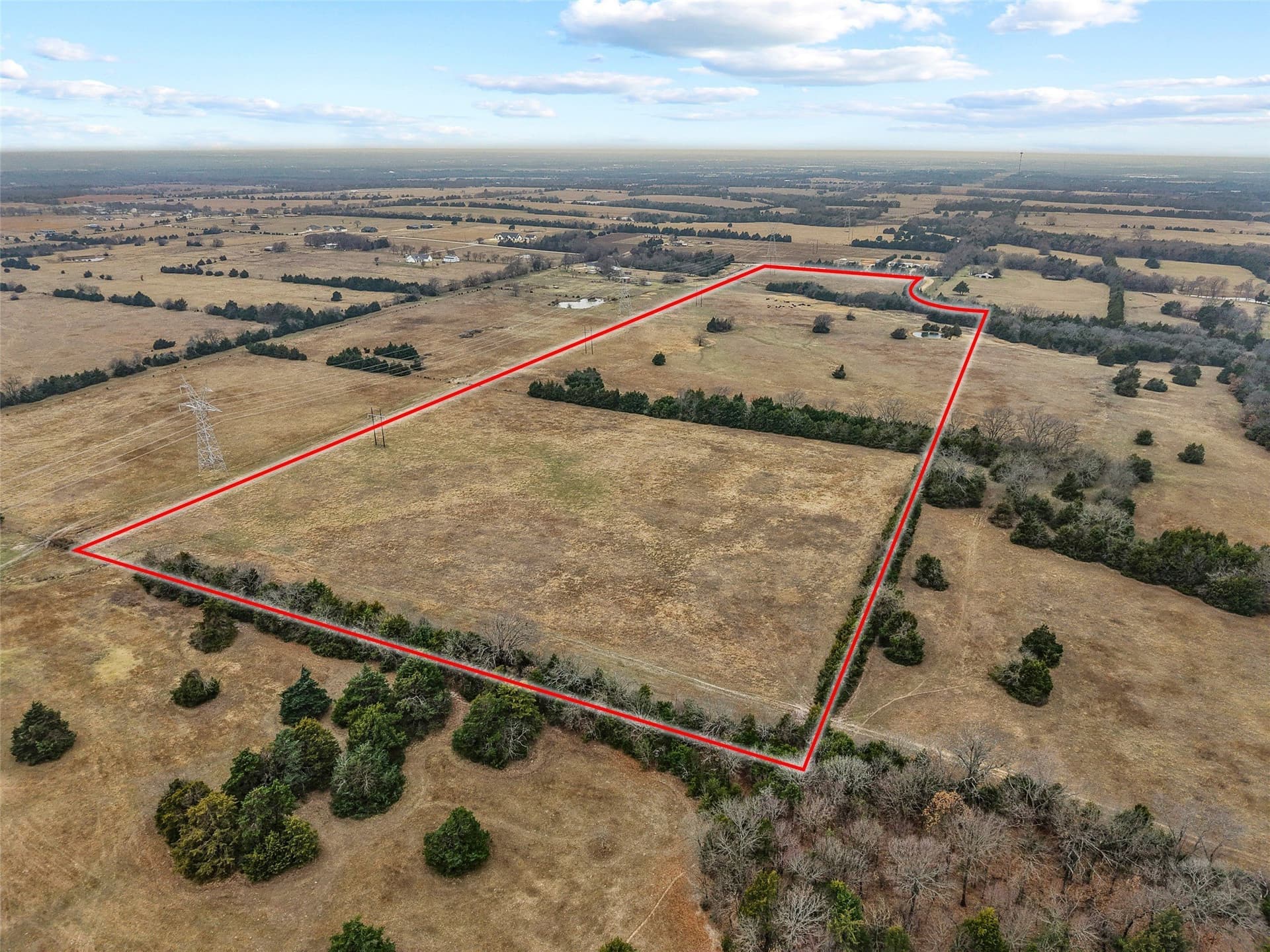 39.91 acres in Fannin County - photo 9