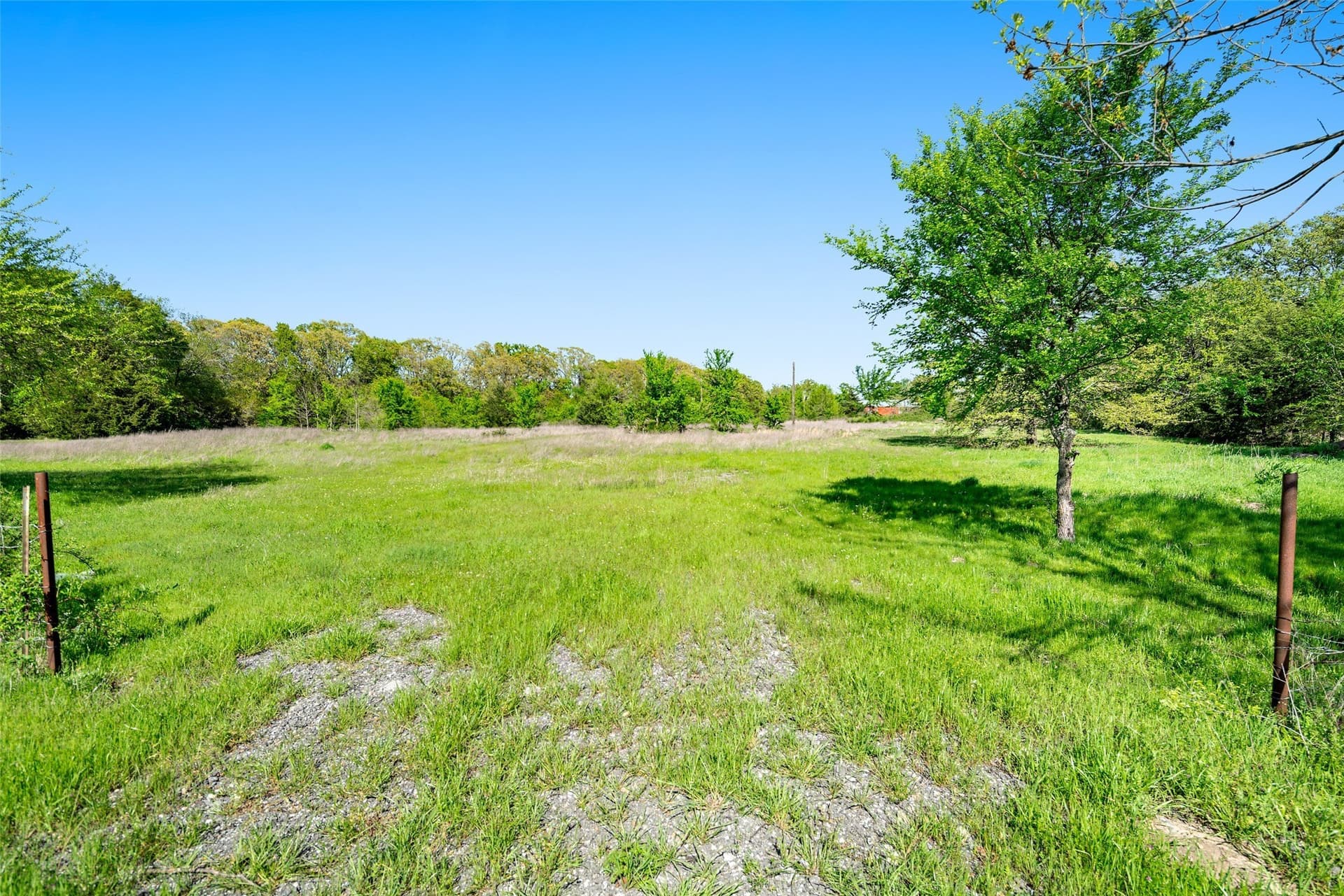 5 acres in Fannin County - photo 3