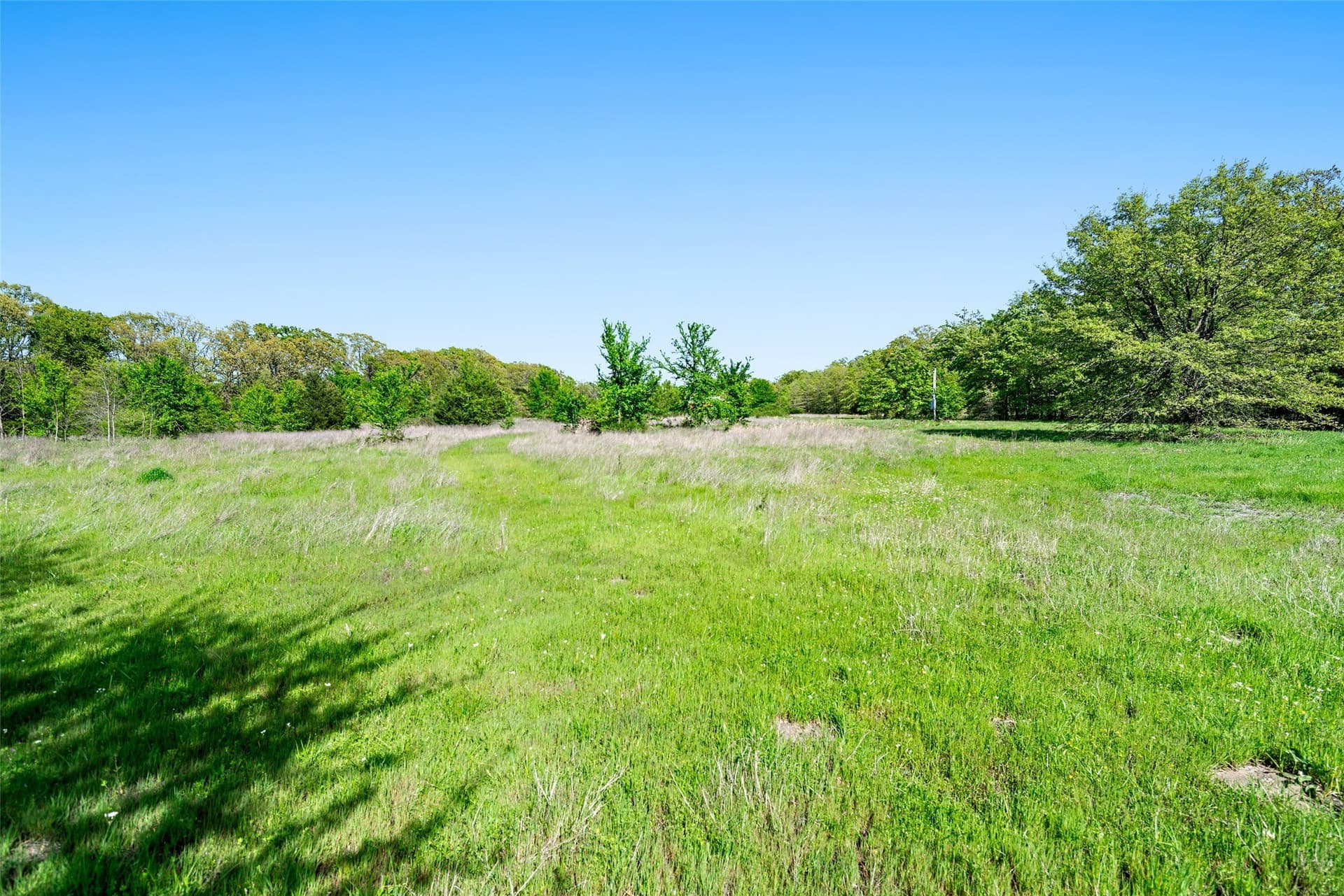 5 acres in Fannin County - photo 9