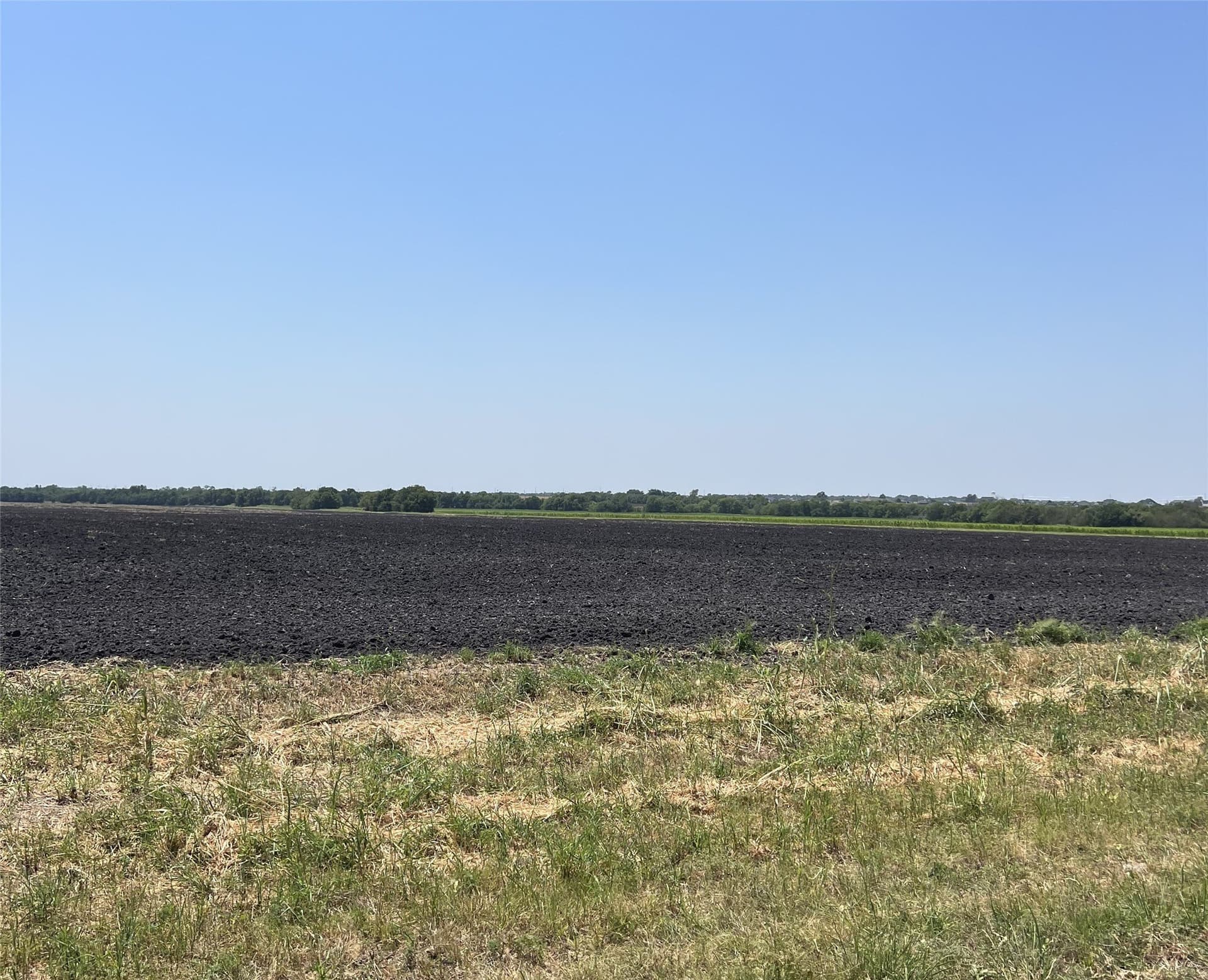 25 acres in Collin County - photo 2