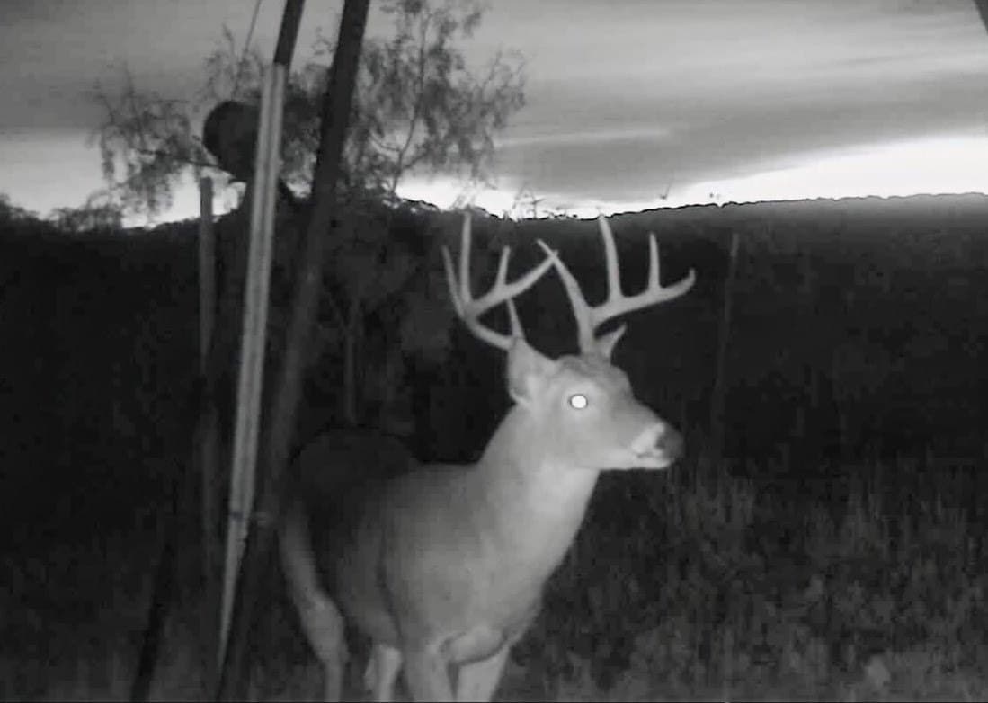 320 acres in Nolan County - photo 11