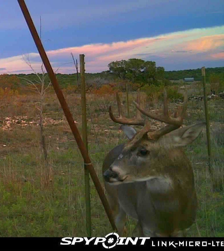 320 acres in Nolan County - photo 4