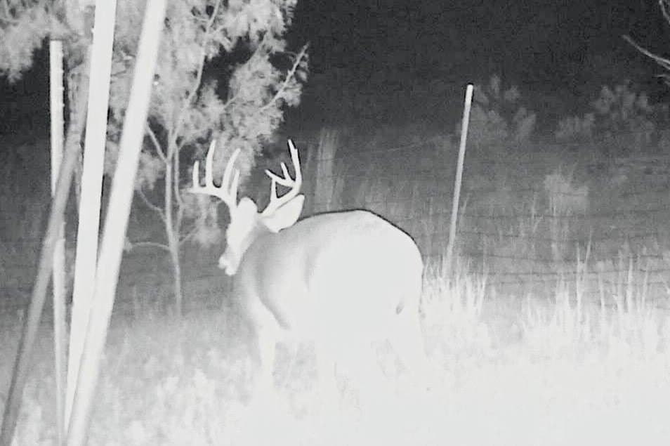320 acres in Nolan County - photo 7