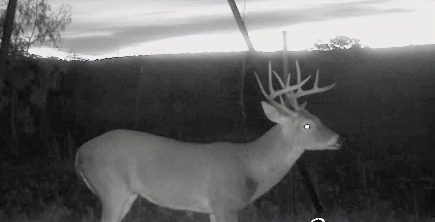 320 acres in Nolan County - photo 40