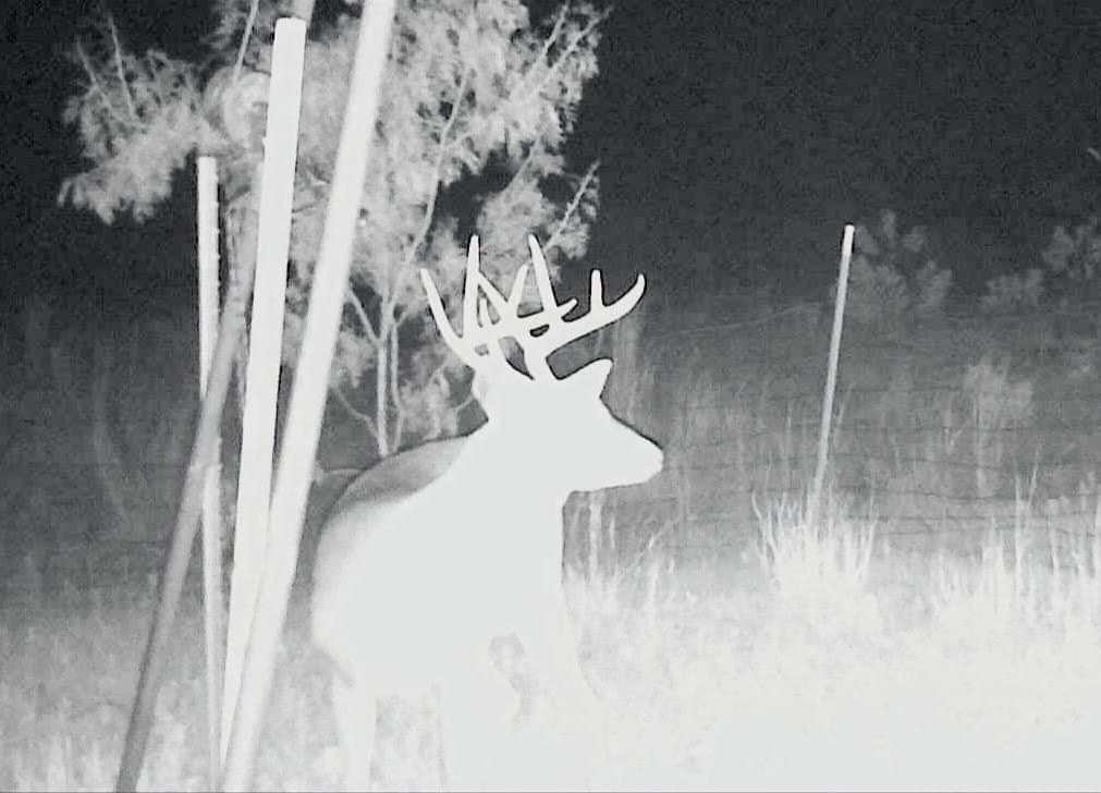 320 acres in Nolan County - photo 39