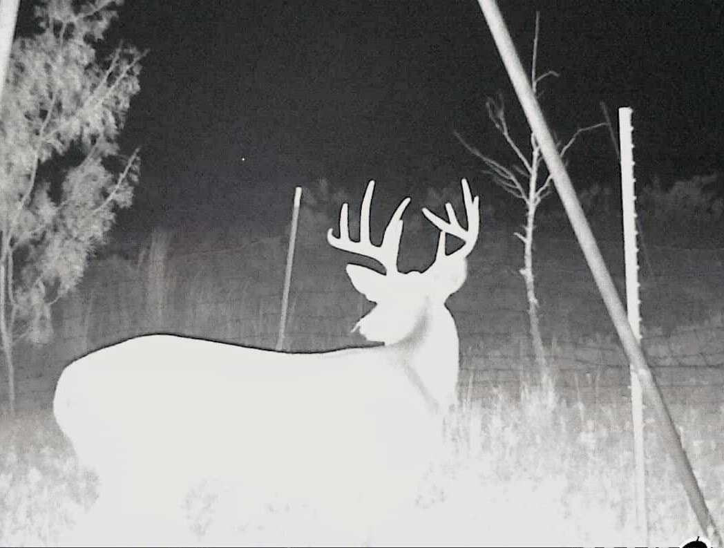 320 acres in Nolan County - photo 5