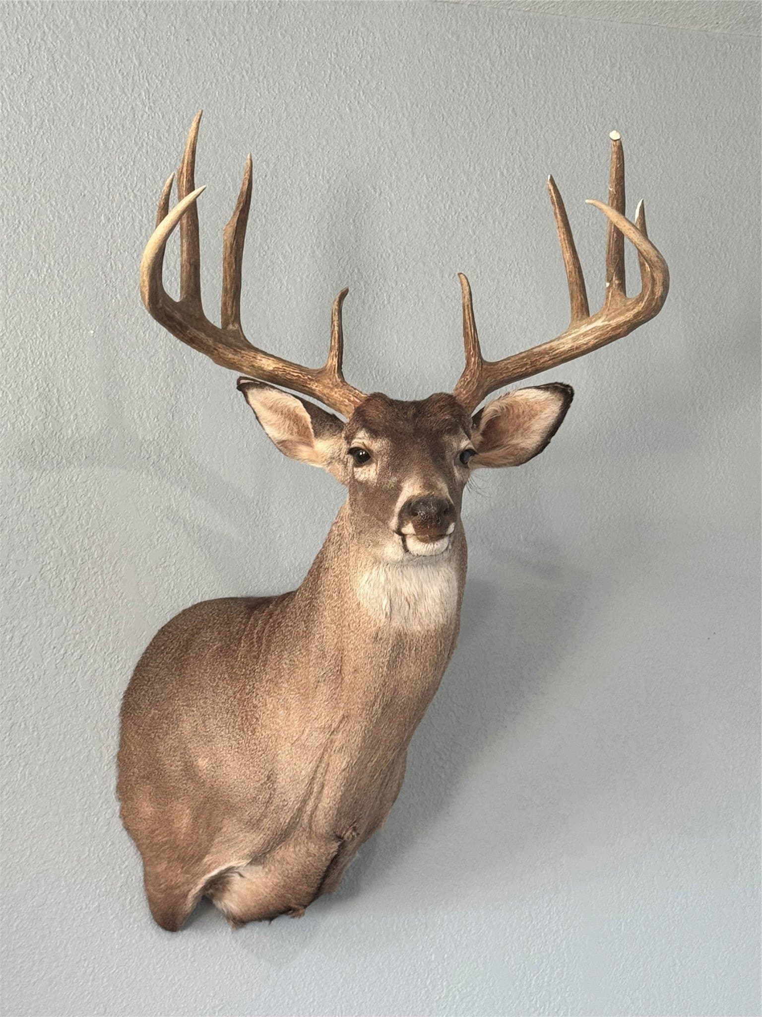 320 acres in Nolan County - photo 2