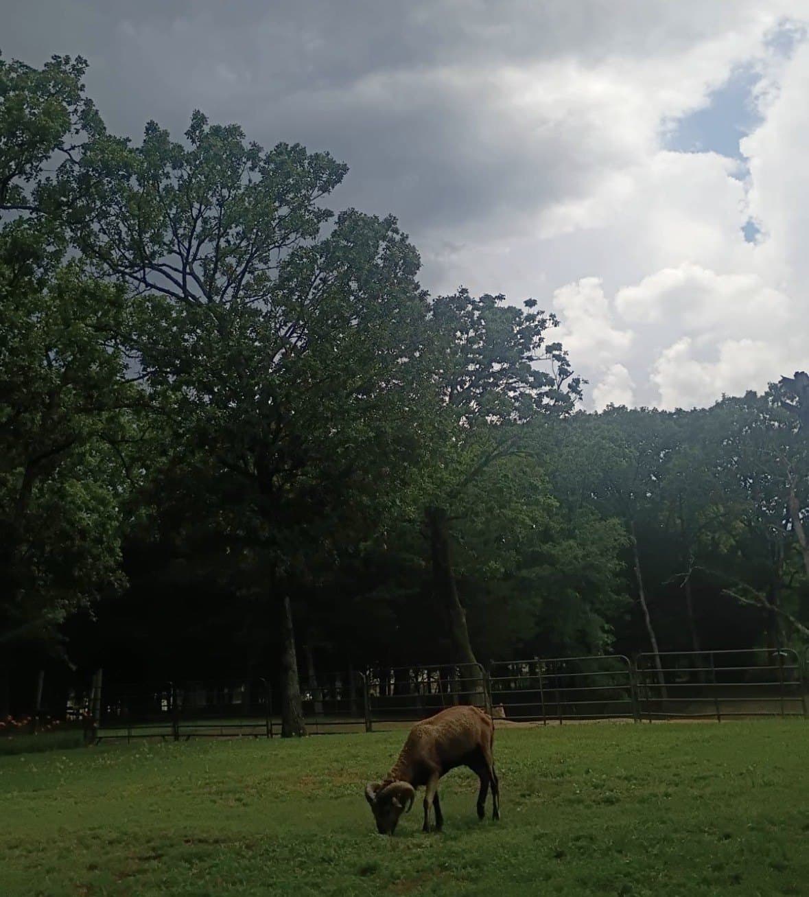 37.98 acres in Hunt County - photo 34