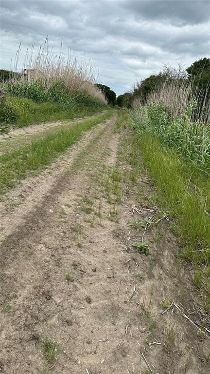 14.28 acres in Navarro County gallery image 4