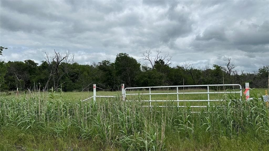 14.28 acres in Navarro County gallery image 2