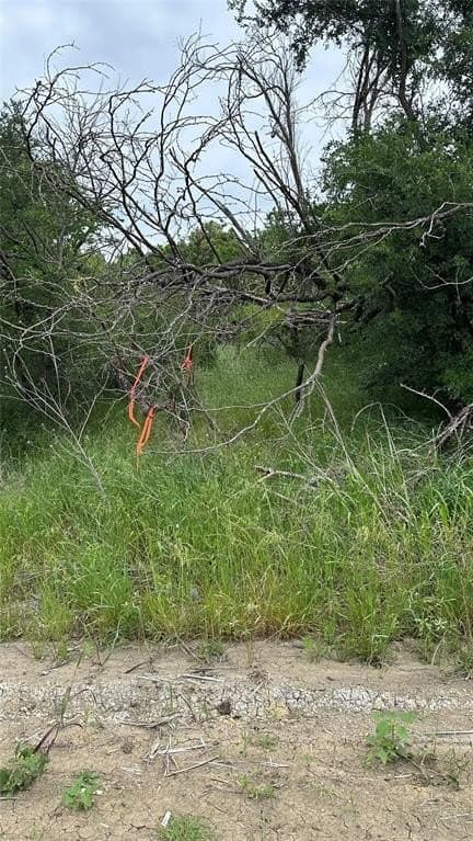 14.28 acres in Navarro County featured view