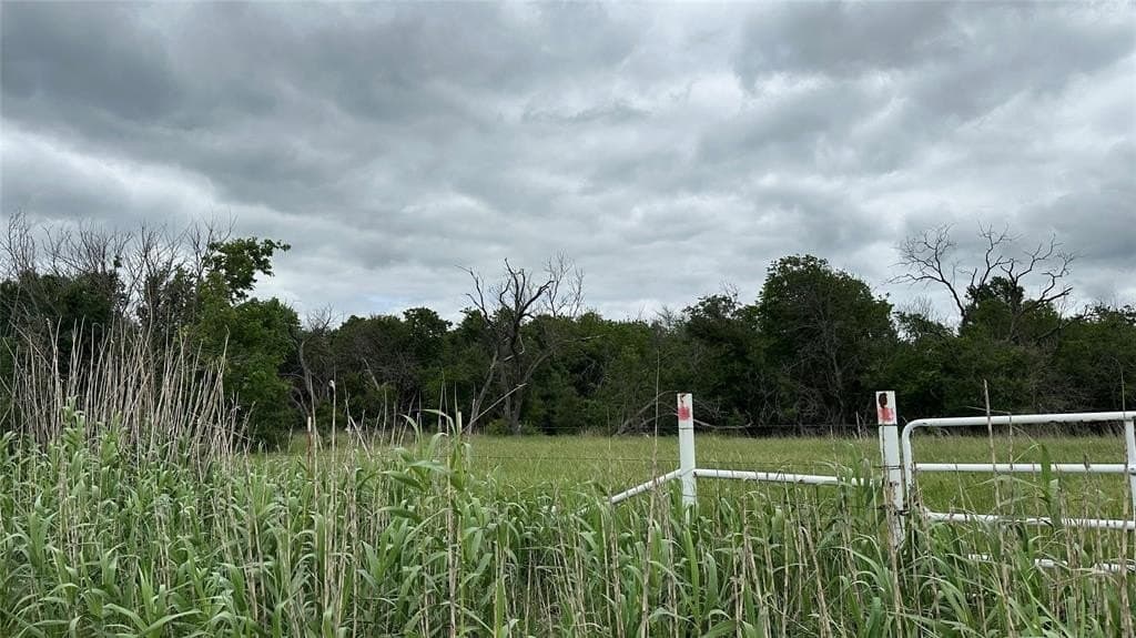 14.28 acres in Navarro County gallery image 3