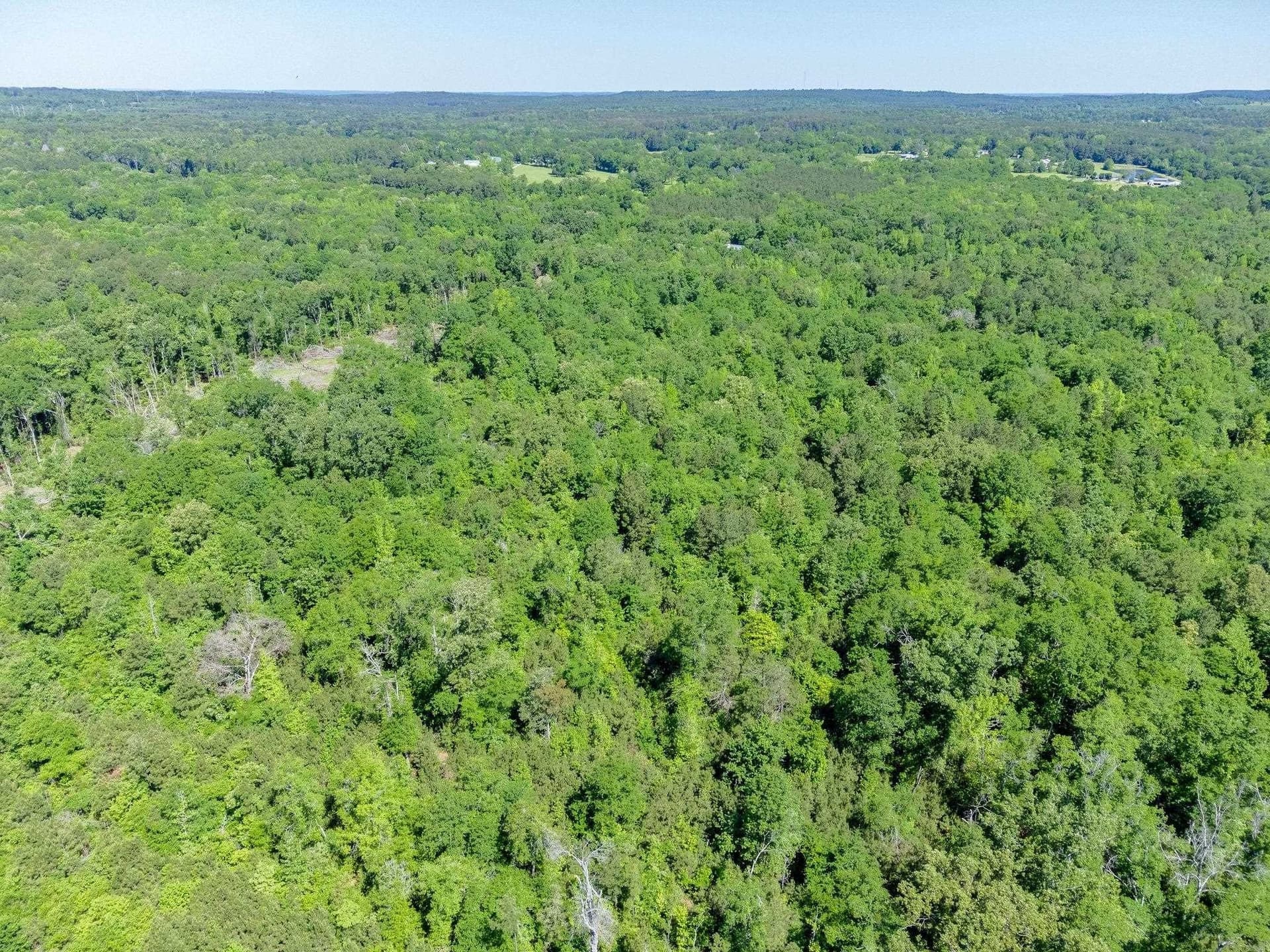 50.18 acres in Texas County - photo 27