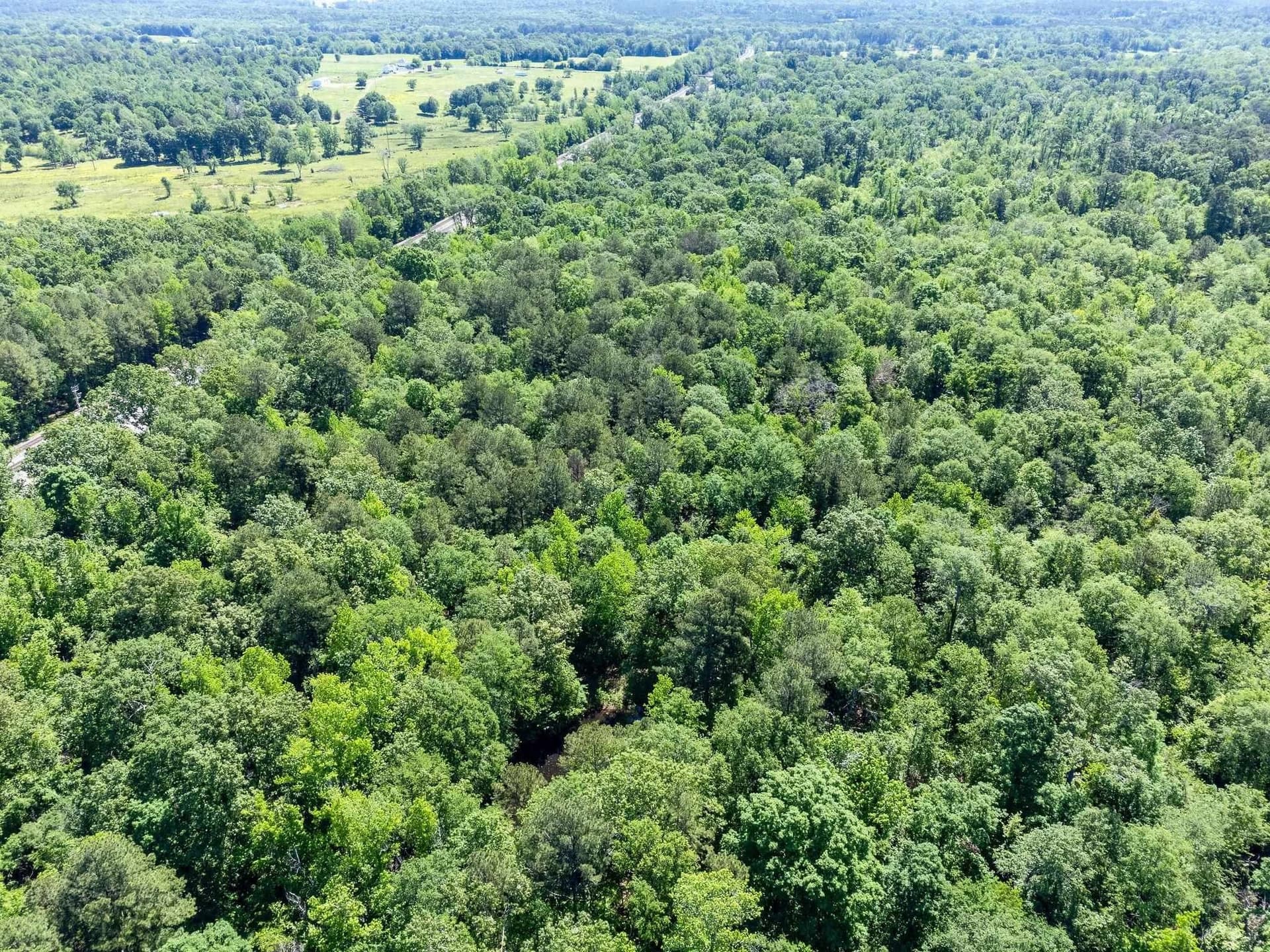 50.18 acres in Texas County - photo 25