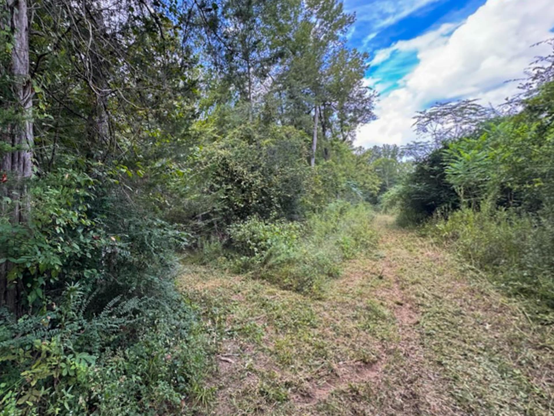 50.18 acres in Texas County - photo 41