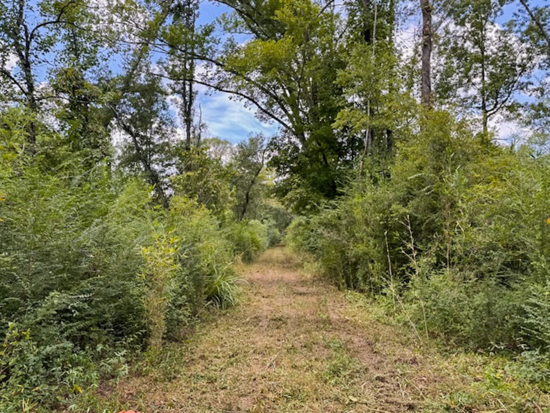 50.18 acres in Texas County