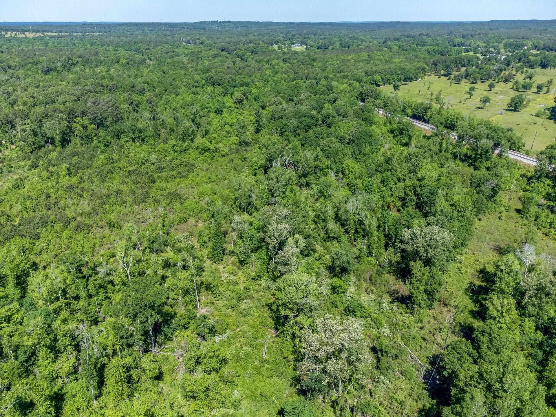 50.18 acres in Texas County - photo 31