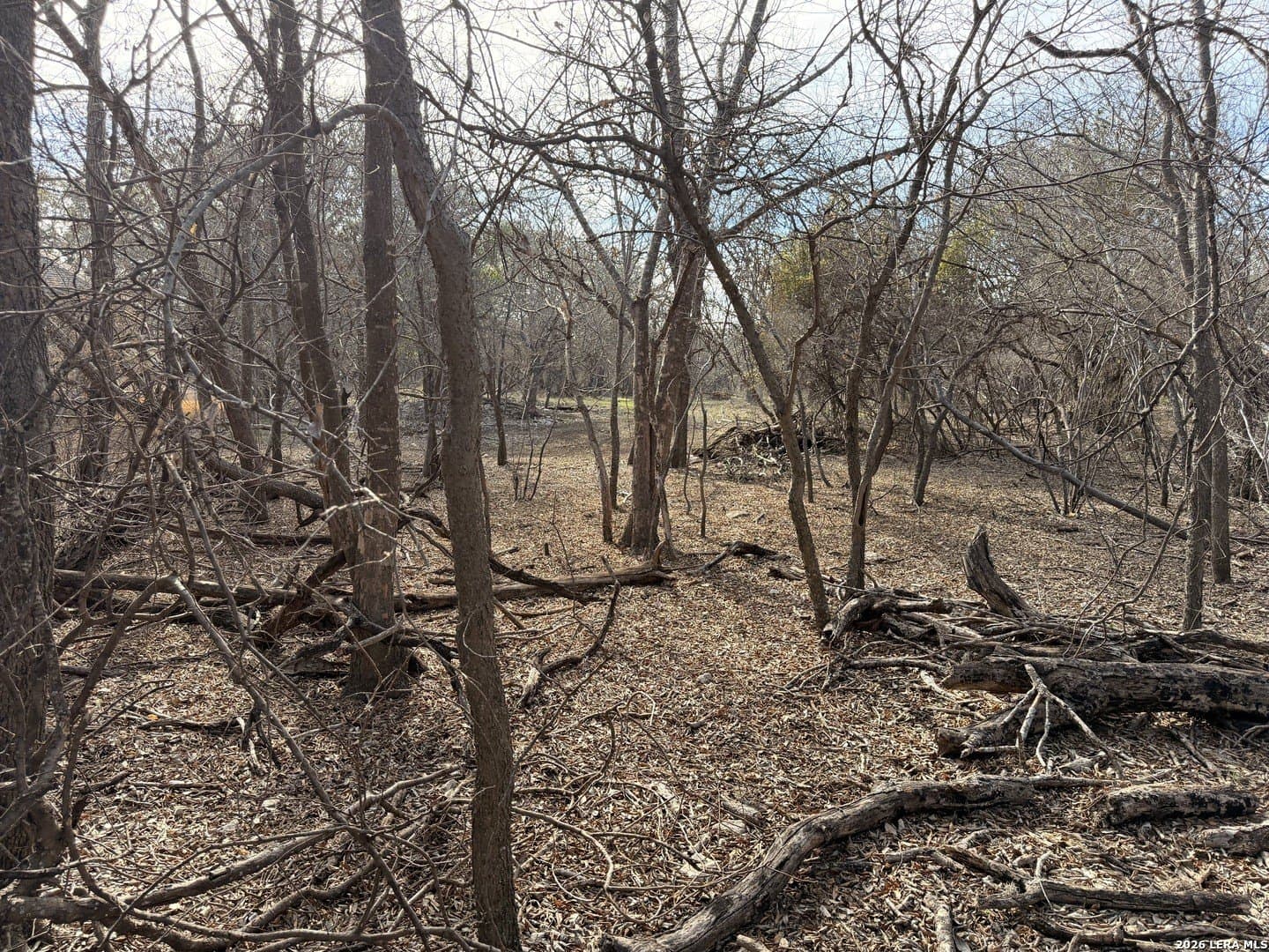 1 acres in Bexar County gallery image 2