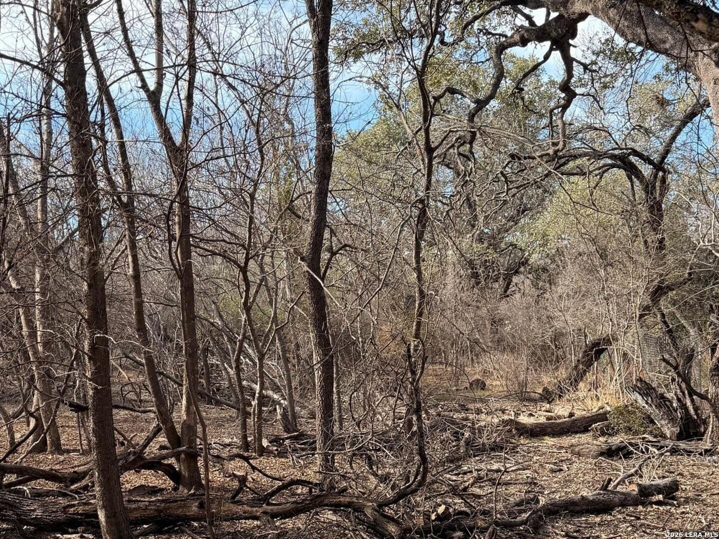 1 acres in Bexar County featured view