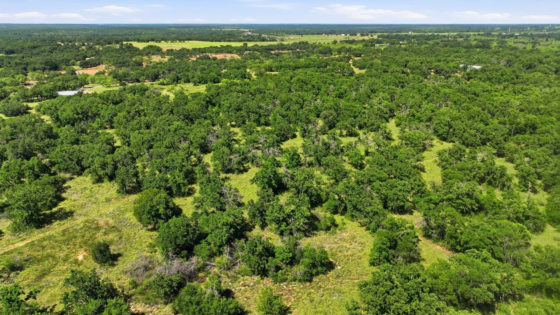 6.82 acres in Eastland County - photo 8