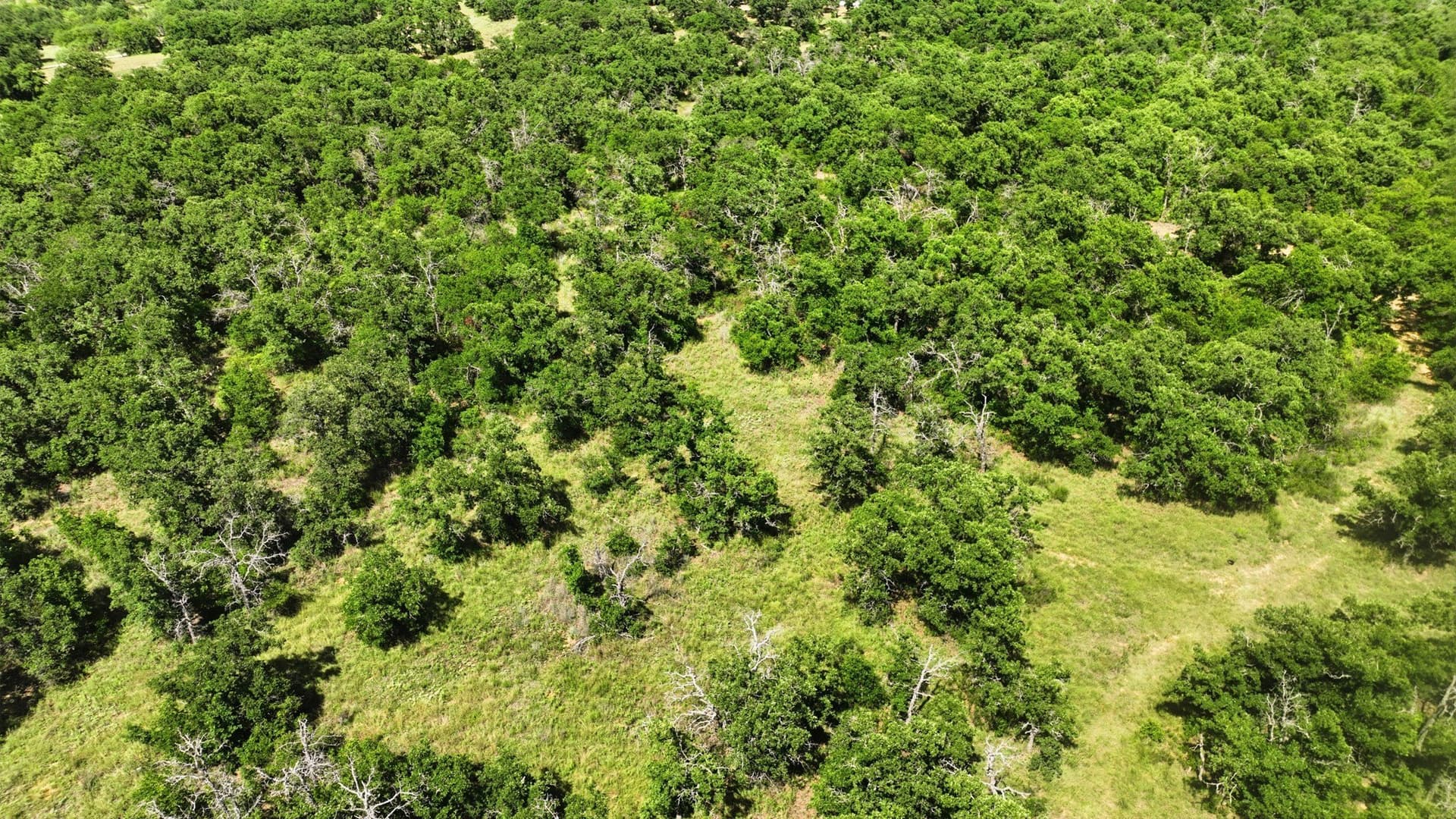 6.82 acres in Eastland County - photo 11