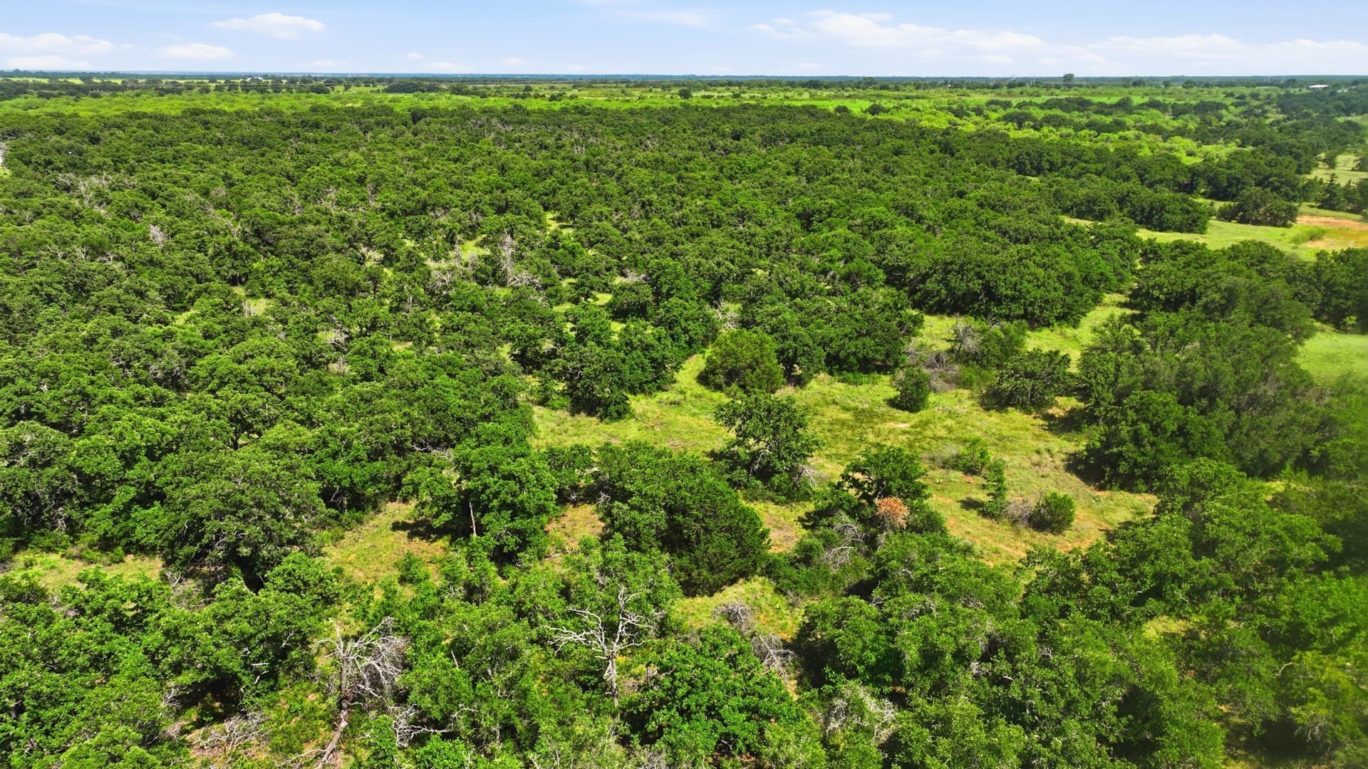 6.82 acres in Eastland County - photo 9