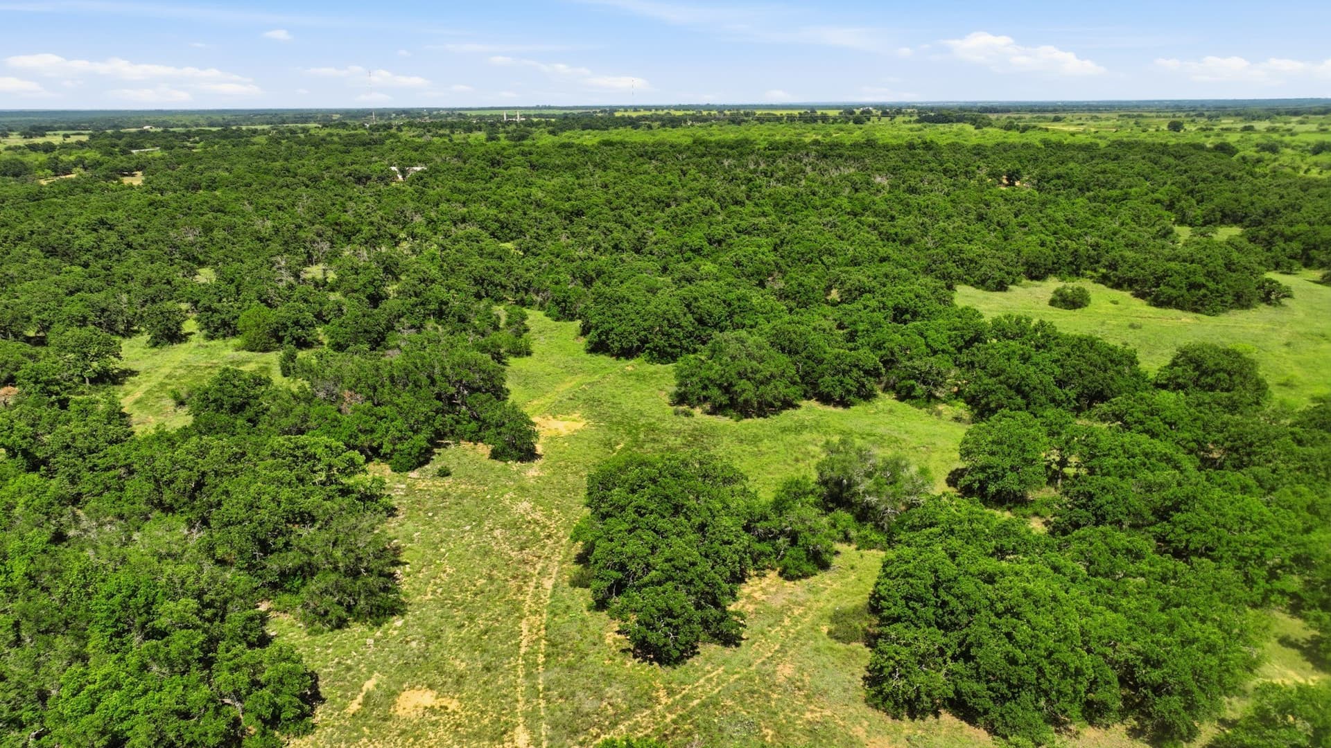 6.82 acres in Eastland County gallery image 4