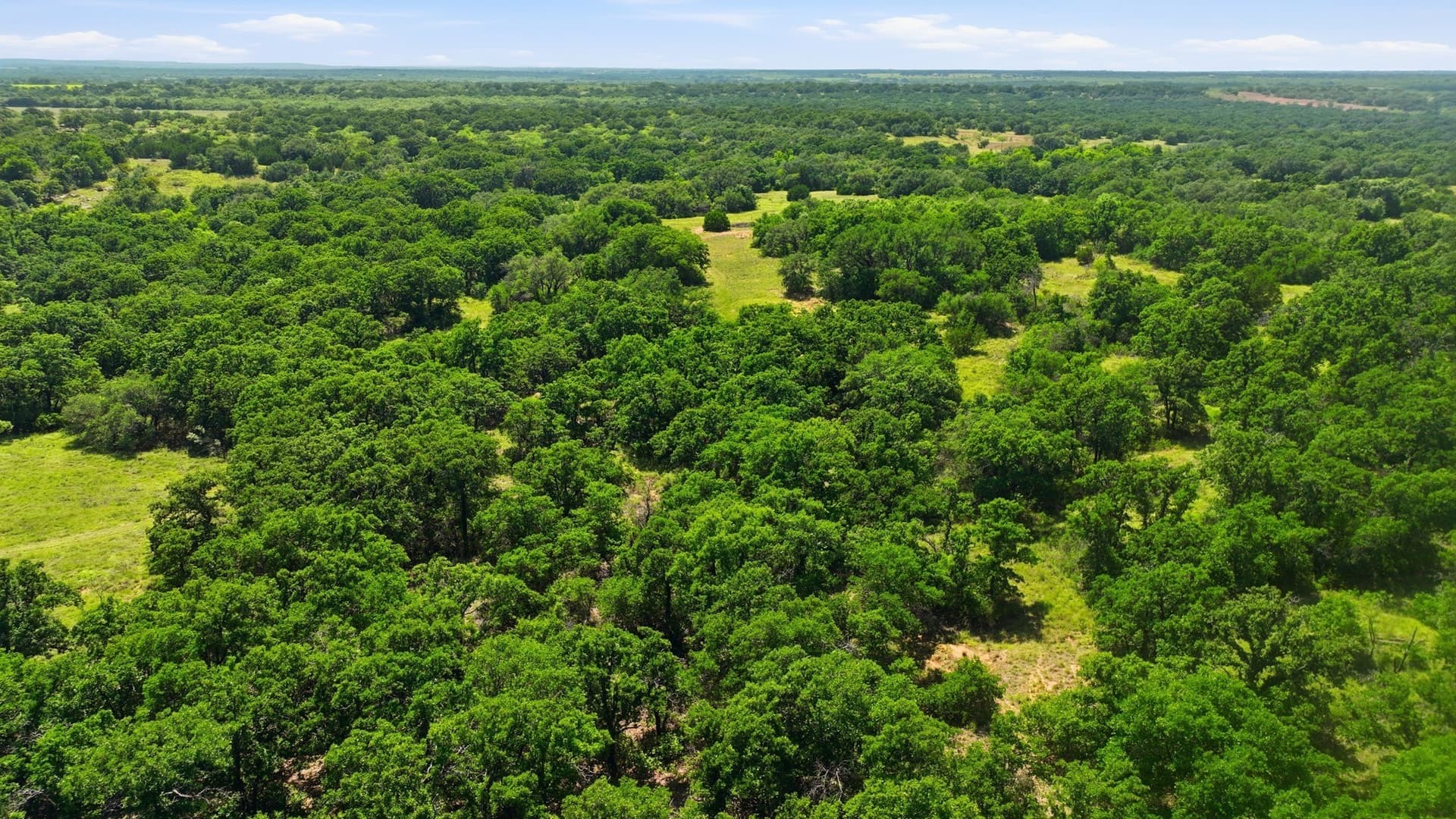 6.82 acres in Eastland County - photo 13