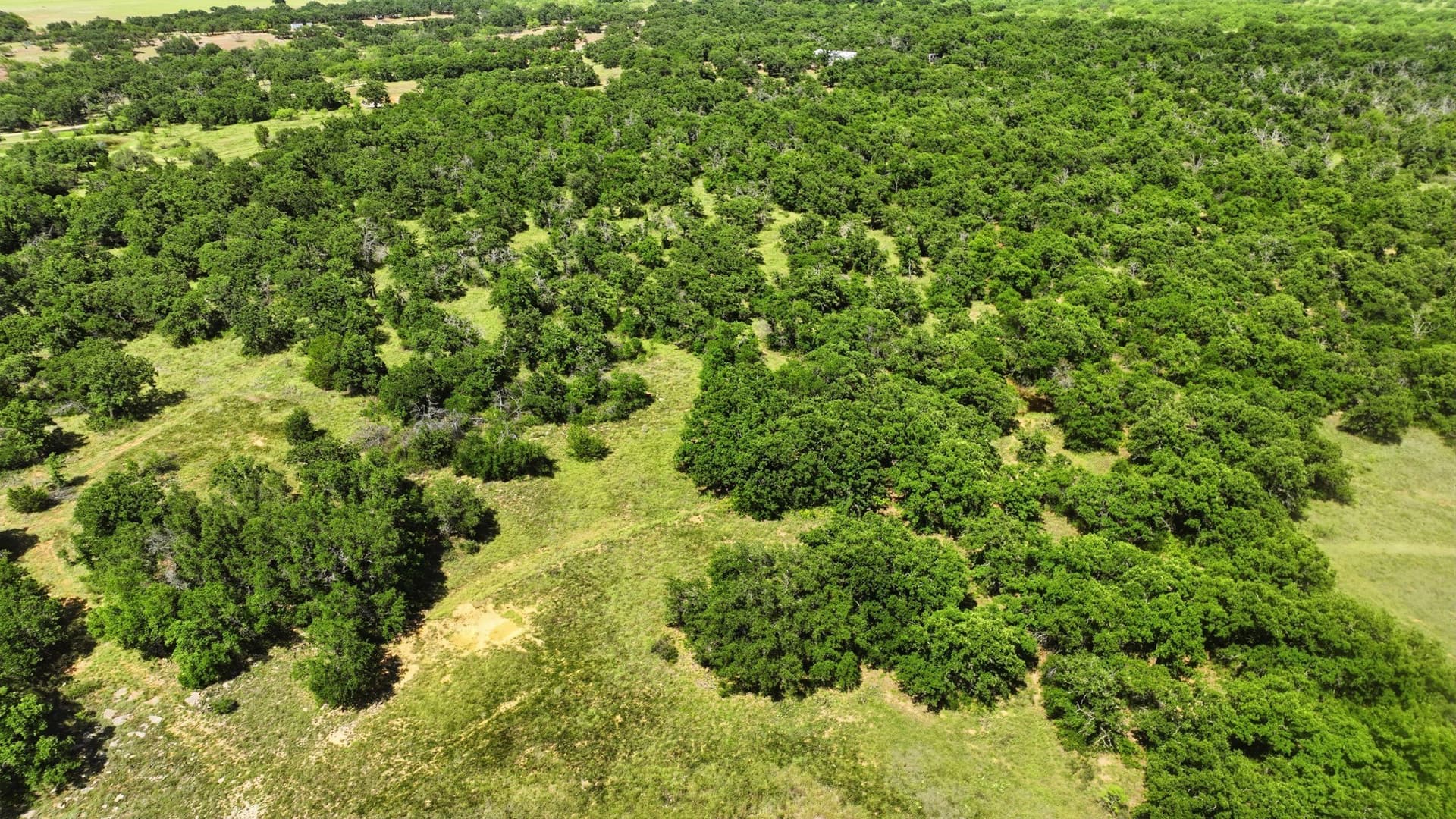 6.82 acres in Eastland County - photo 6