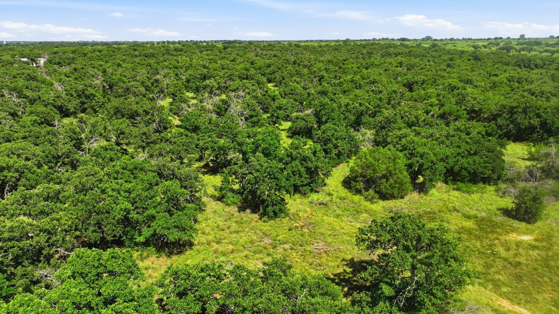 6.82 acres in Eastland County - photo 10