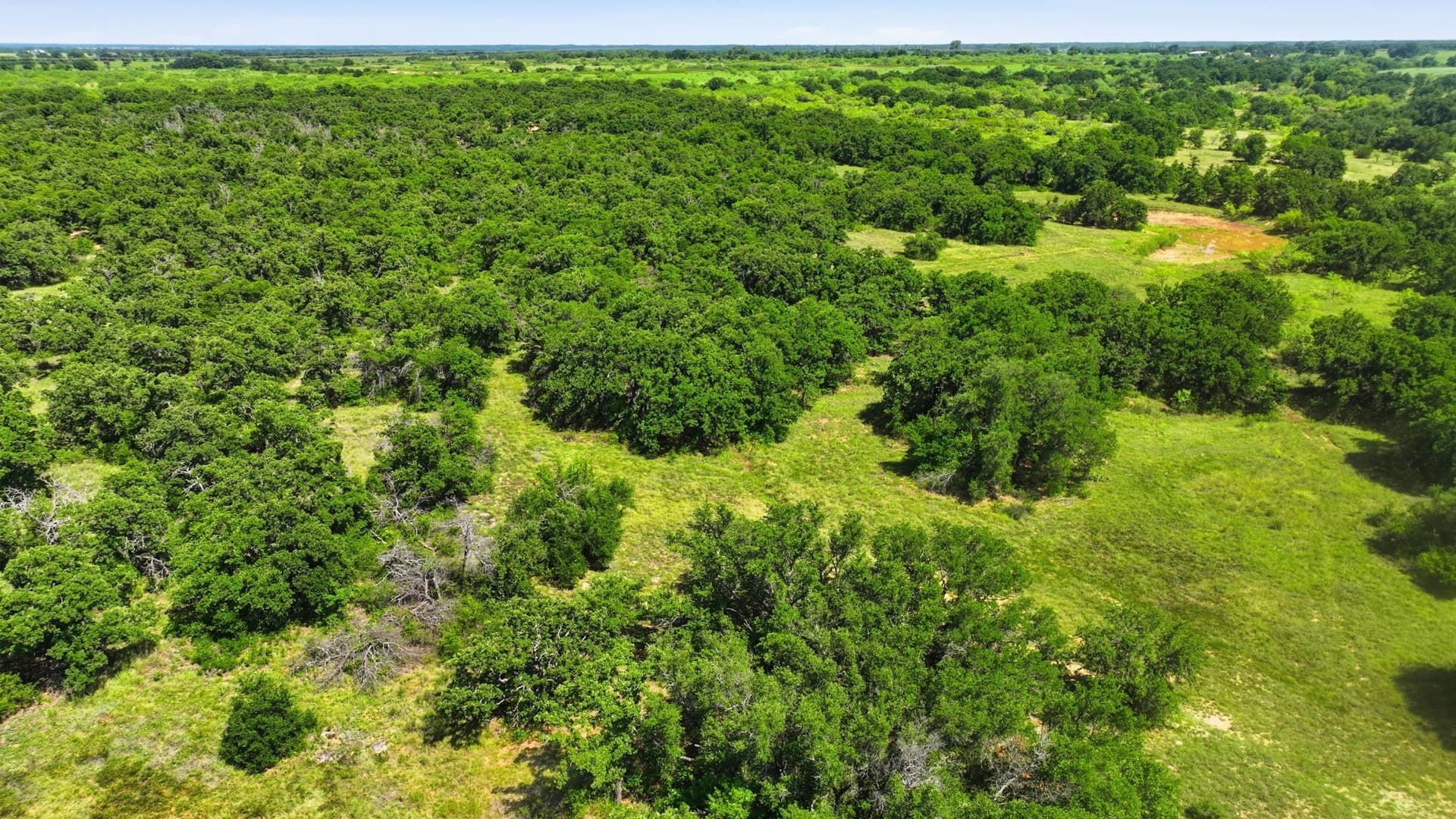 6.82 acres in Eastland County gallery image 3