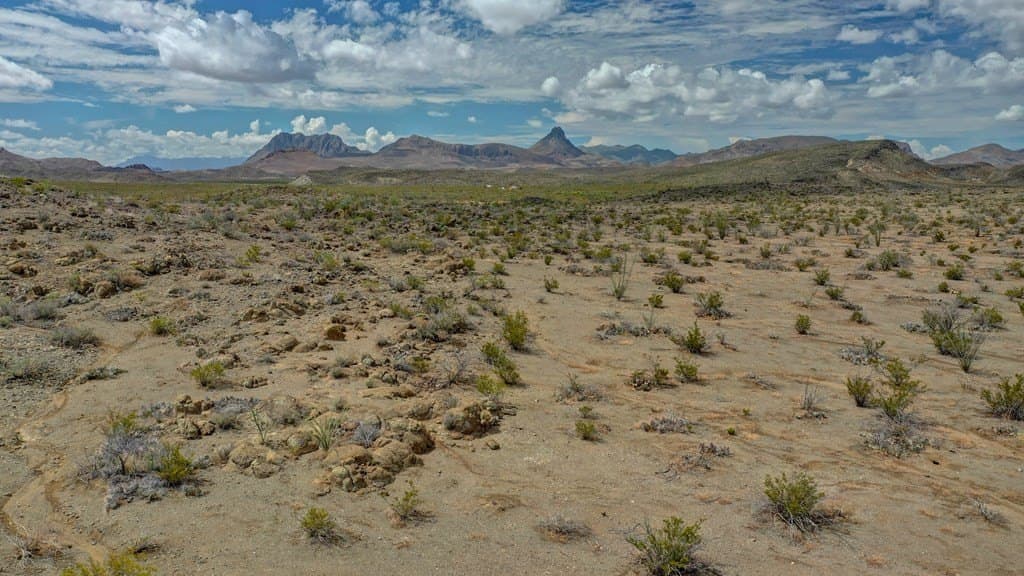 40 acres in Brewster County - photo 25