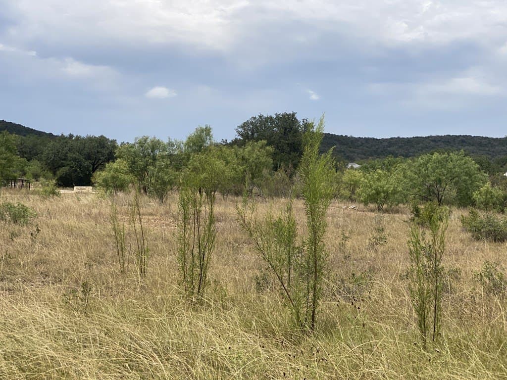 0.51 acres in Uvalde County - photo 32