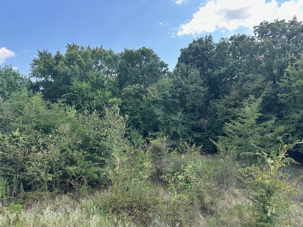 0.73 acres in Rains County gallery image 3
