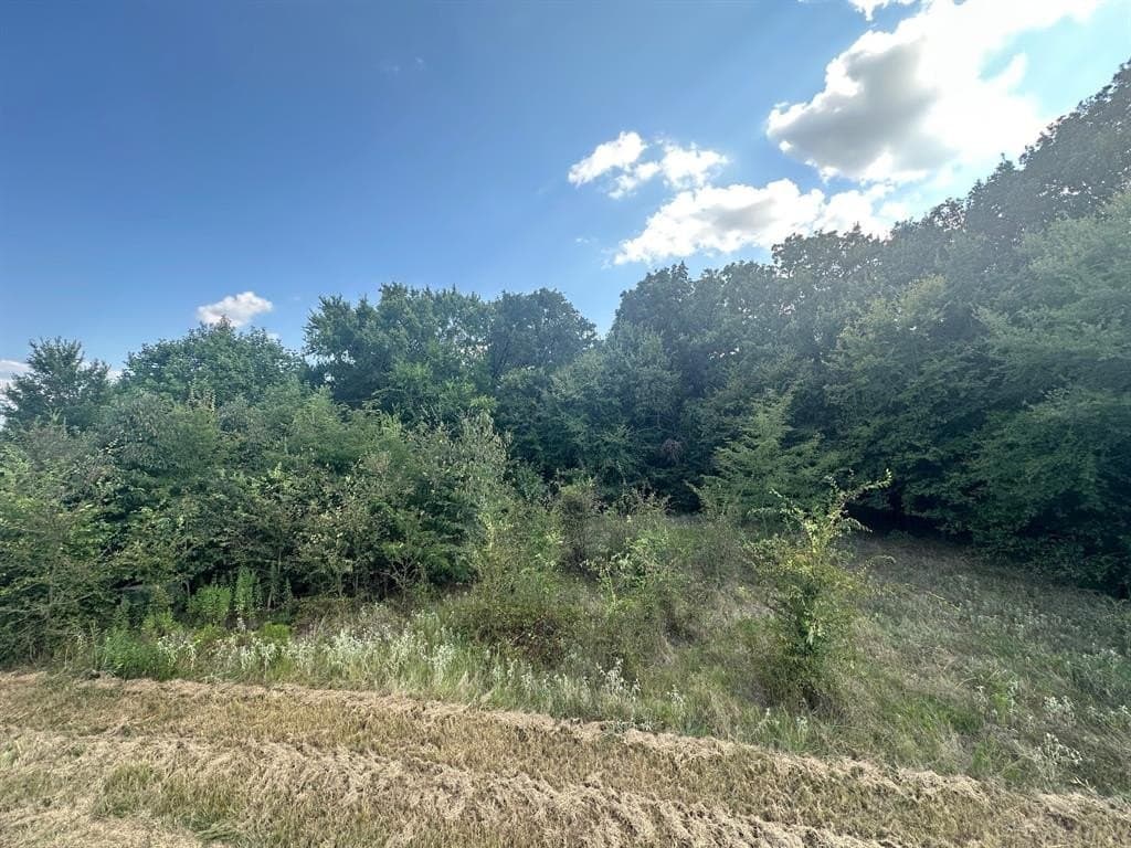 0.73 acres in Rains County gallery image 4