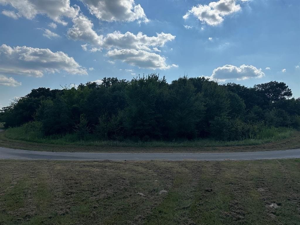0.73 acres in Rains County featured view