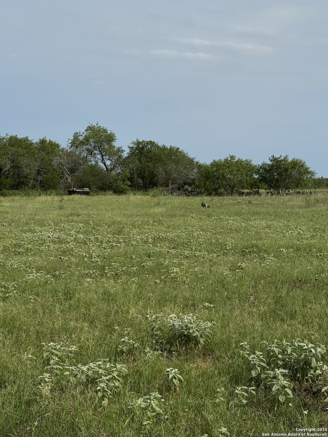 10.67 acres in Atascosa County - photo 9