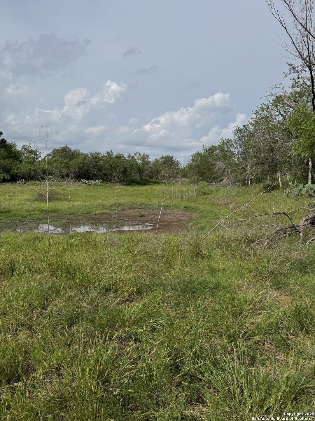 10.67 acres in Atascosa County - photo 10